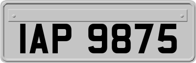 IAP9875