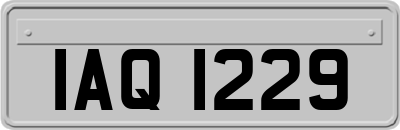 IAQ1229