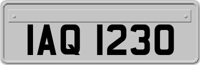 IAQ1230