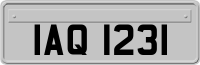 IAQ1231