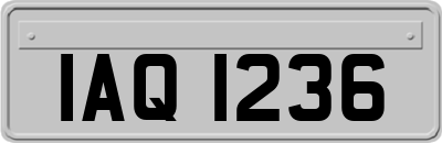 IAQ1236