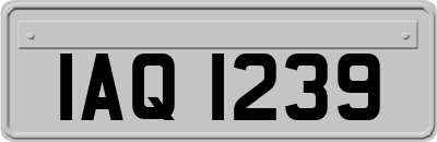 IAQ1239