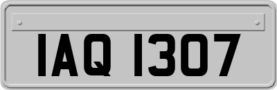 IAQ1307