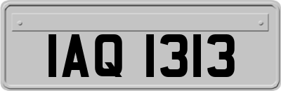 IAQ1313