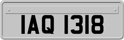 IAQ1318