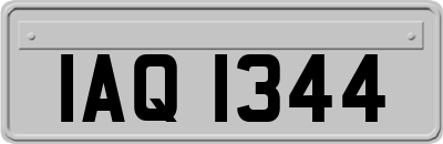 IAQ1344