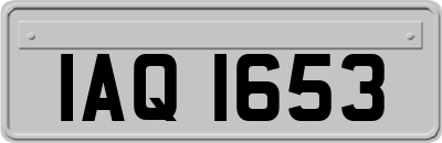 IAQ1653