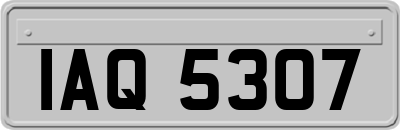 IAQ5307