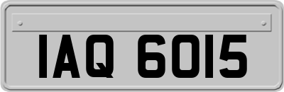 IAQ6015