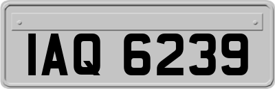 IAQ6239