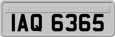 IAQ6365