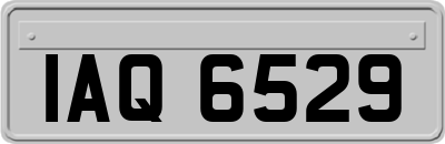 IAQ6529