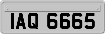 IAQ6665