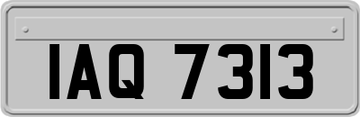 IAQ7313