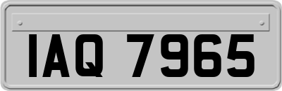 IAQ7965