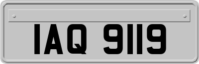 IAQ9119