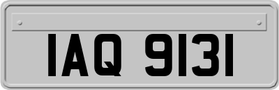 IAQ9131