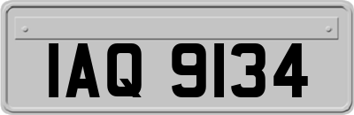 IAQ9134