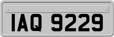 IAQ9229