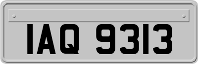 IAQ9313