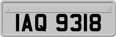 IAQ9318