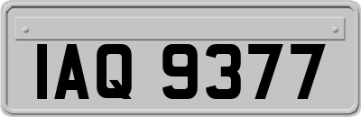 IAQ9377