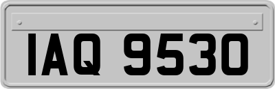 IAQ9530