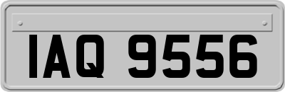 IAQ9556