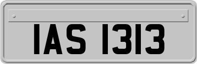 IAS1313