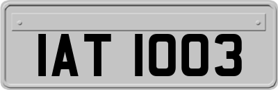 IAT1003