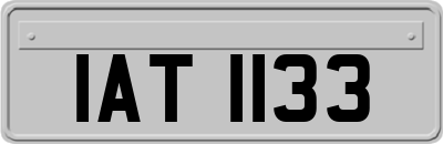 IAT1133