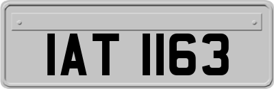 IAT1163