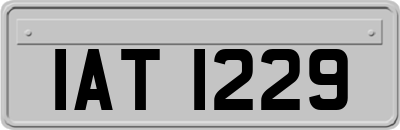 IAT1229