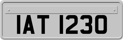 IAT1230