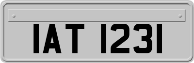 IAT1231