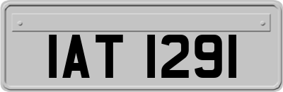 IAT1291