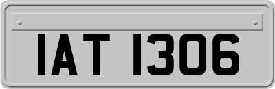 IAT1306