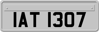 IAT1307