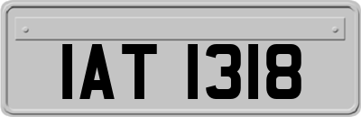 IAT1318