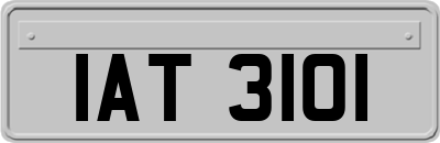 IAT3101