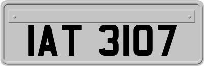 IAT3107