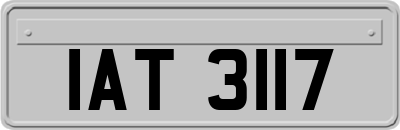 IAT3117