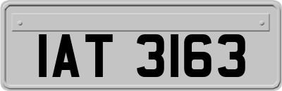 IAT3163