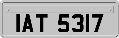 IAT5317