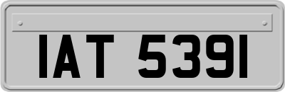 IAT5391