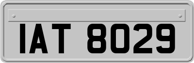 IAT8029