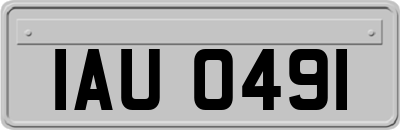 IAU0491