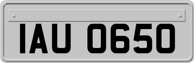 IAU0650