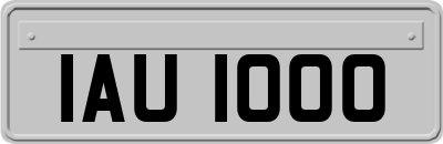 IAU1000