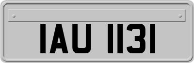 IAU1131